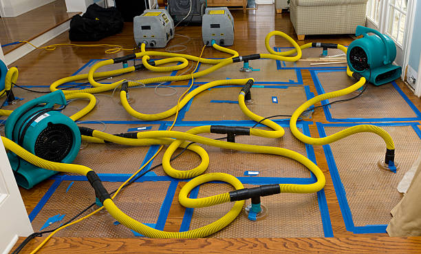 Professional Burst Pipe Water Damage technician working in Palm Harbor, FL